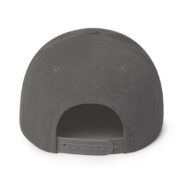 Snapback Hat - Image 21