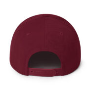 Snapback Hat - Image 9