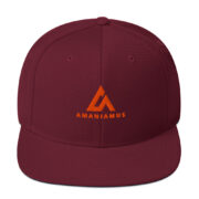 Snapback Hat - Image 8