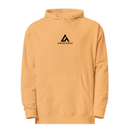 Unisex midweight hoodie